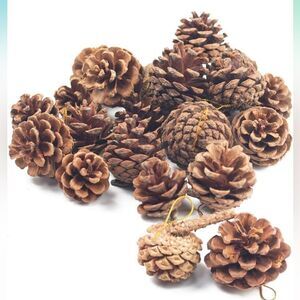NEW JOHOUSE Natural Pine Cones Rustic Pinecones Decorations Ornaments 18 PCS